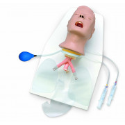 Advanced “Airway Larry” Airway Management Trainer with Stand